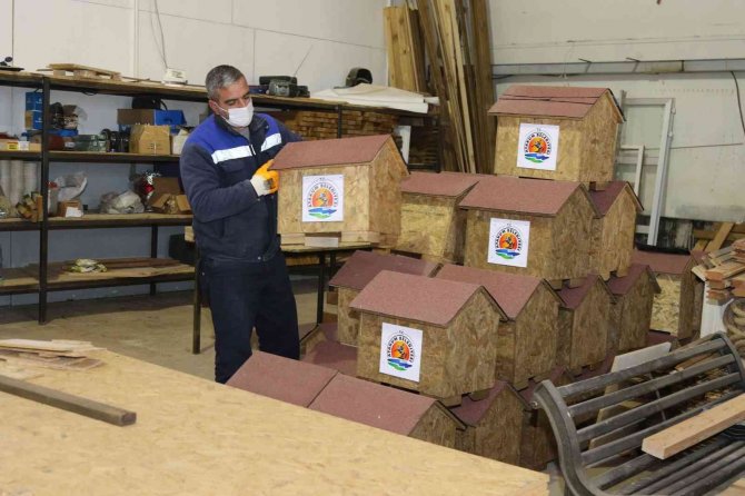 Atakum’da Sokak Hayvanlarına Yuva