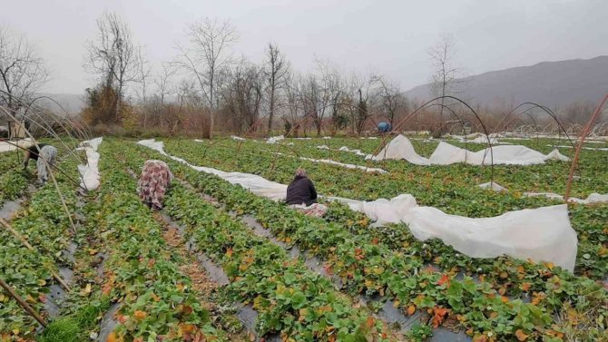 Seralar Lodosla Parçalandı