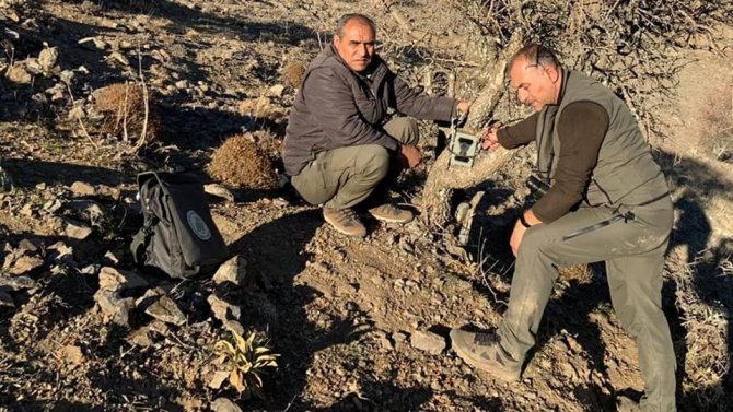 Elazığ’da Yaban Hayatı Ve Kaçak Avcılar, Fotokapanlarla Tespit Ediliyor
