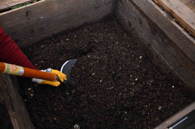 Kadıköy’de Atıksız Sokakta 3 Ton Atık Komposta Dönüştü
