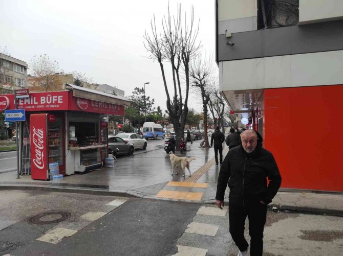Yağmurla Birleşen Lodos Hayatı Olumsuz Etkiliyor