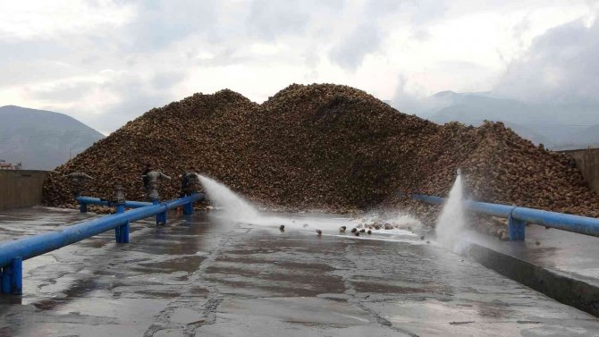 Muş Ekonomisine 350 Milyon Liralık Şeker Katkısı