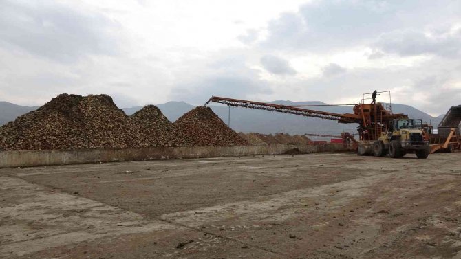 Muş Ekonomisine 350 Milyon Liralık Şeker Katkısı