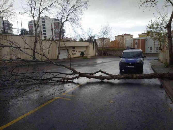 Kartal’da Lodos Nöbeti