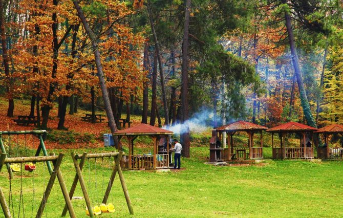 Sonbaharda İ̇l Ormanı Adeta Büyülüyor