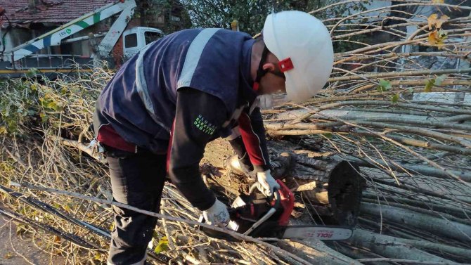 Şiddetli Lodos Enerji Hatlarını Tahrip Etti