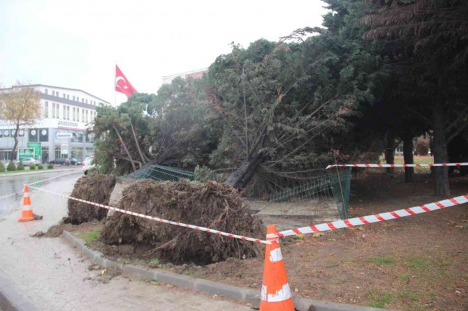 Lodos Şehri Birbirine Kattı