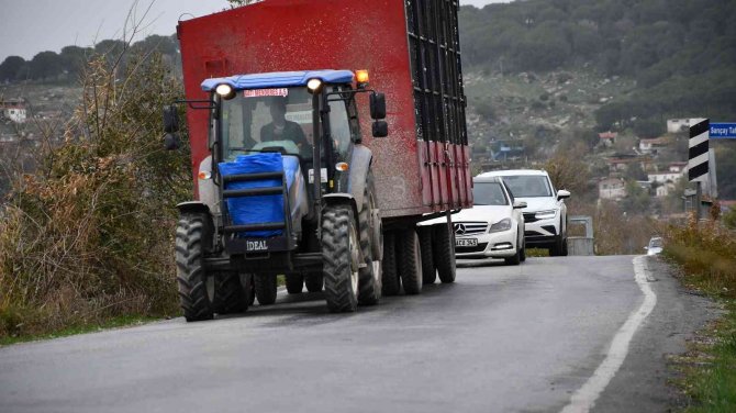 “Güney Ege Turizm Yolu” Kazalarla Tekrar Gündeme Geldi