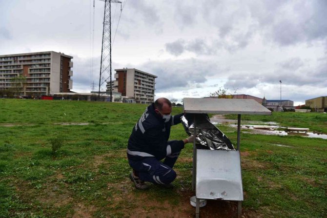 Tuzla Belediyesi’nden Sokak Hayvanları İçin Mama Seferberliği