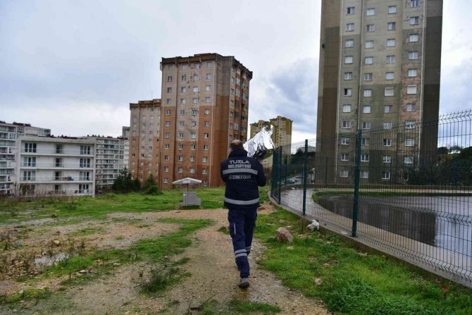 Tuzla Belediyesi’nden Sokak Hayvanları İçin Mama Seferberliği