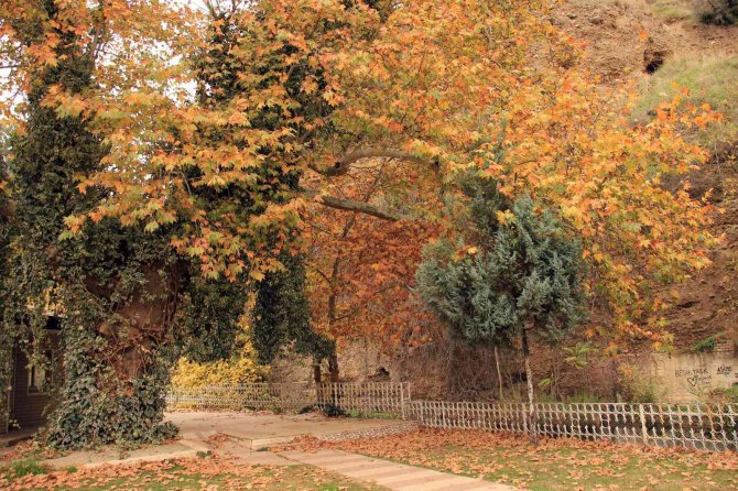 Pınarbaşı Sonbaharın Renklerine Büründü