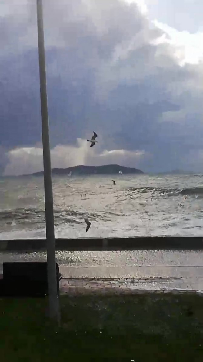 Caddebostan’da Martıların Lodosla İmtihanı