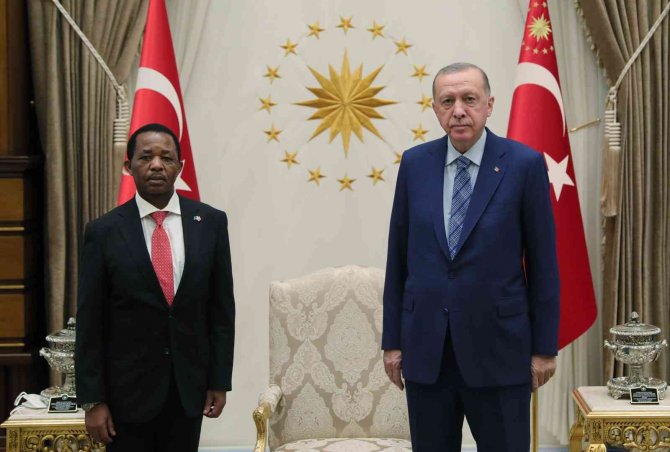 Tanzanya Büyükelçisi Mohamed, Cumhurbaşkanı Erdoğan’a Güven Mektubu Sundu