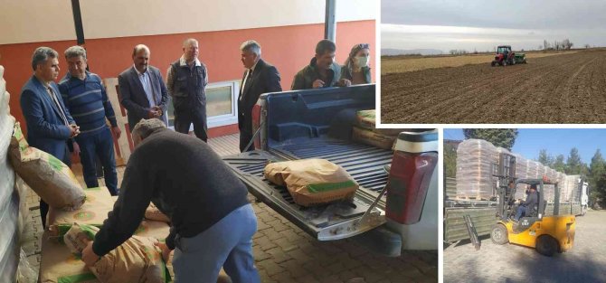Yüzde 50 Hibeli Olarak 100 Ton Makarnalık Buğday Tohumluğu Dağıtıldı