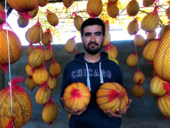 Fileye Giren Kavunların Raf Ömrü Uzuyor