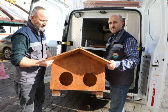 Kedi Evi Projesi İ̇lkadım’da Hayat Buldu