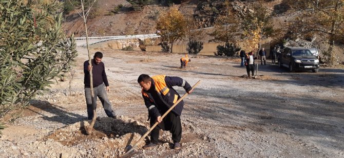 Yangın Bölgesinde Mesire Alanı Oluşturuldu