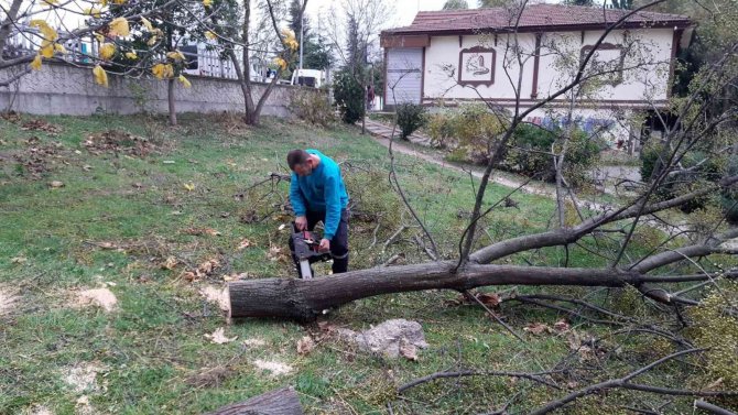 Başiskele’de Fırtınadan Devrilen Ağaçlar Kaldırıldı