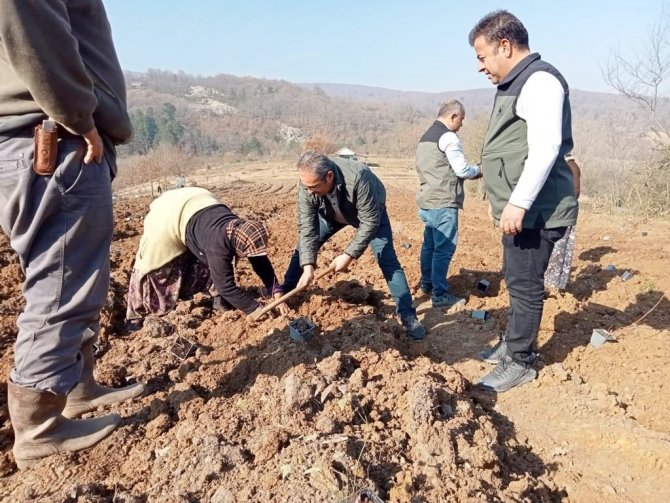 Mavi Yemişe 145 Bin Liralık Hibe