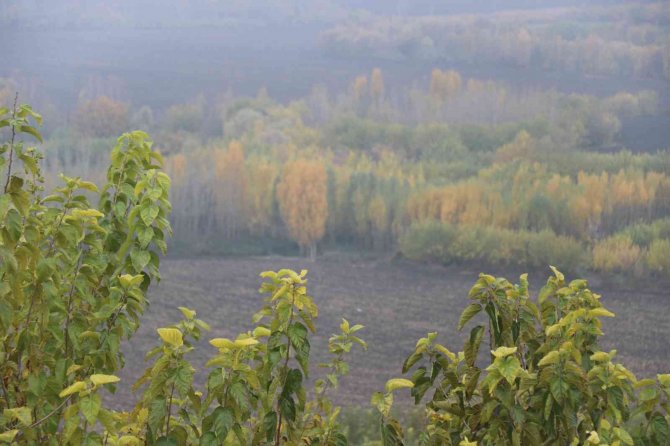 Sonbahar Bitti, Geride Manzarası Kaldı