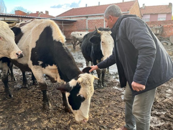 Üreticiler Çiğ Süte Gelen Fiyat Artışından Memnun