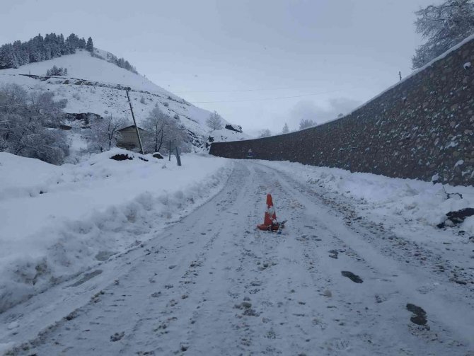 Artvin-ardanuç-ardahan Karayolu Kar Nedeniyle Ulaşıma Kapandı