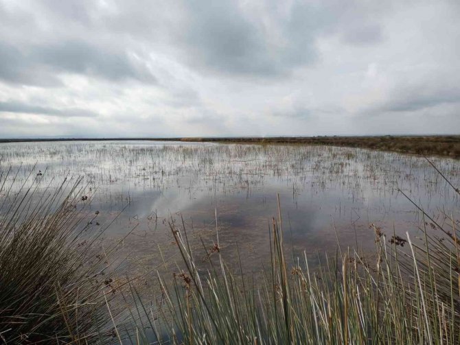 Vali Dağlı: “Su Potansiyelimizi Etkili Ve Verimli Kullanmalıyız
