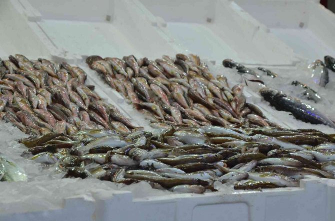 Fırtına Balıkçıları Vurdu, Fiyatlar İkiye Katlandı: Hamsi 35 Lira