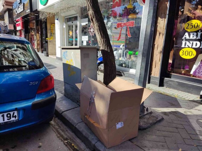 Ağaç Diplerine Çöp Bırakılmaması İçin Yalvardı