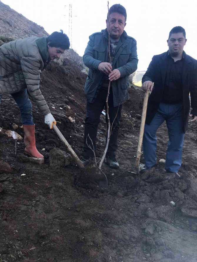 Asad’dan Fidan Dikim Etkinliği