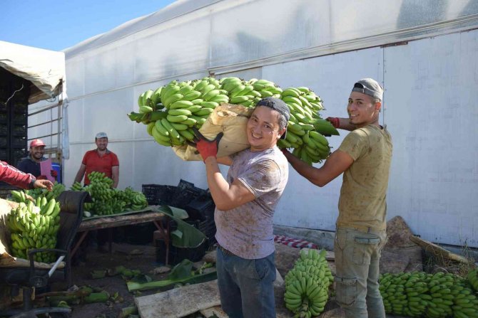 Batı Akdeniz İhracatı 2 Milyar 285 Milyon Dolar Oldu