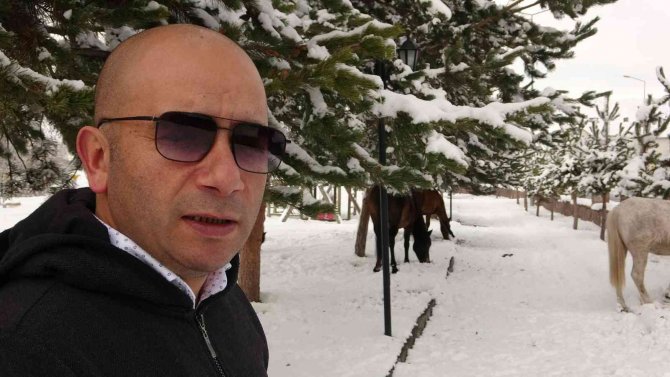 Ardahan’ın Yılkı Atları Kışın Özgür, Yazın Sahipli