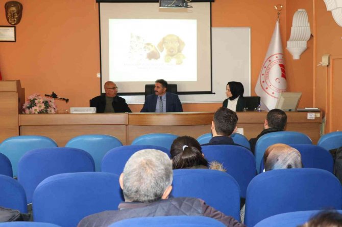 Elazığ’da Kedi, Köpek Ve Gelinciklere ’Pasaport Ve Mikroçip’ Zorunluluğu