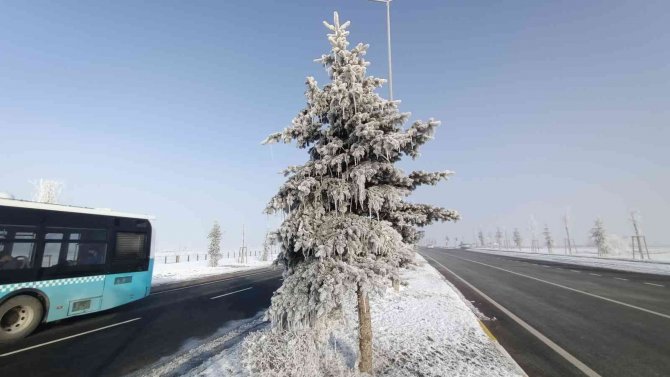 Erzurum Eksi 17 Dereceyi Gördü, Şadırvanlar, Ağaçlar Ve Duraklar Buz Tuttu