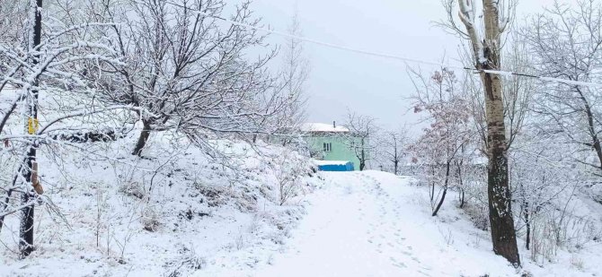 Çocuklar Kartopu Oynayarak Karın Tadını Çıkardı