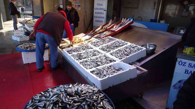 Hamsi Azaldı, Fiyat Yükselişe Geçti