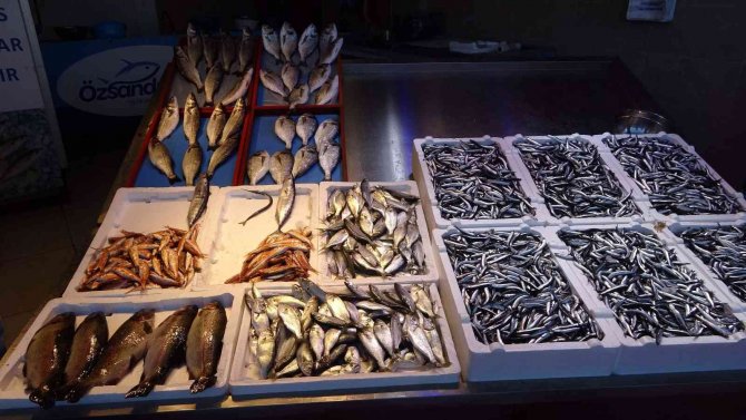 Hamsi Azaldı, Fiyat Yükselişe Geçti