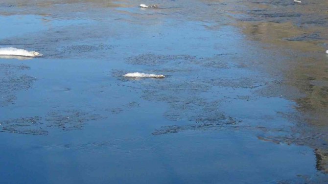 Kars Buz Kesti, Araçların Motorları Dondu