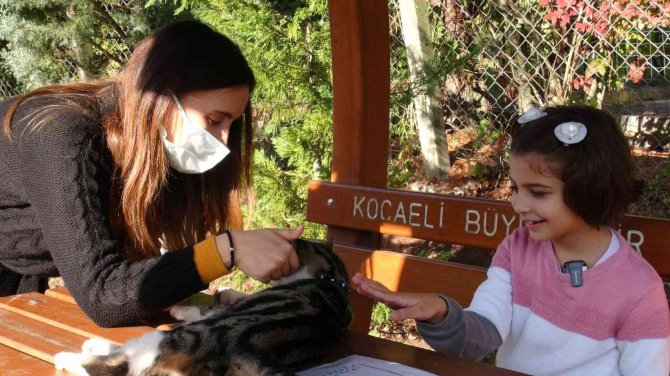 Engelliler Gününün En Sevindirici Haberi