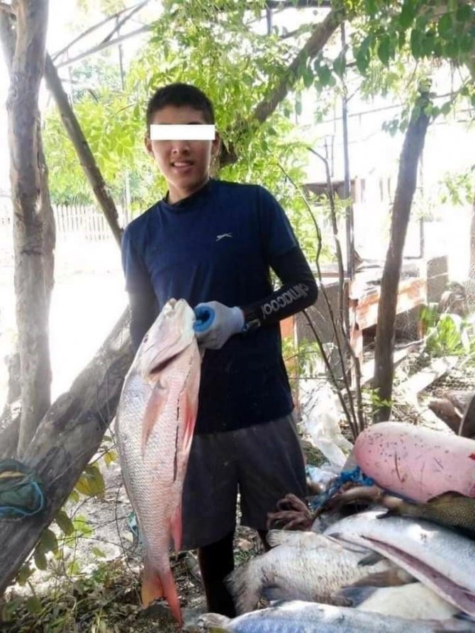14 Yaşındaki Çocuk Kolunu Isıran Köpekbalığının Burnunu Sıkarak Saldırıdan Kurtuldu