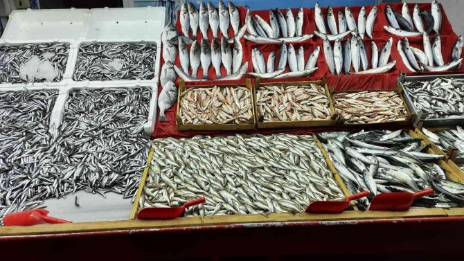 Fırtına Balık Tezgahlarını Etkiledi
