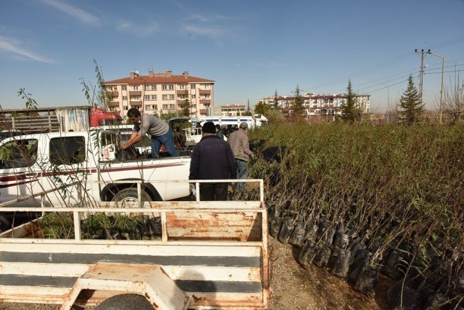 Karaman’da Çiftçilere Fidan Dağıtıldı