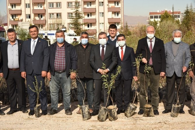 Karaman’da Çiftçilere Fidan Dağıtıldı