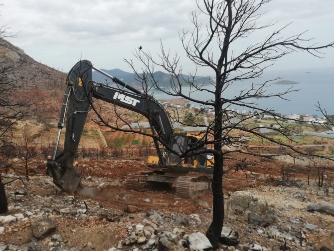 Gülnar’da Yanan Orman Sahaları Yeşillendiriliyor