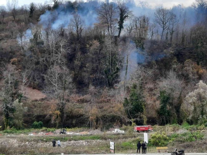 Sinop’ta Orman Yangını