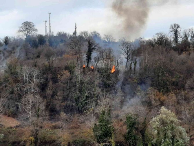 Sinop’ta Orman Yangını