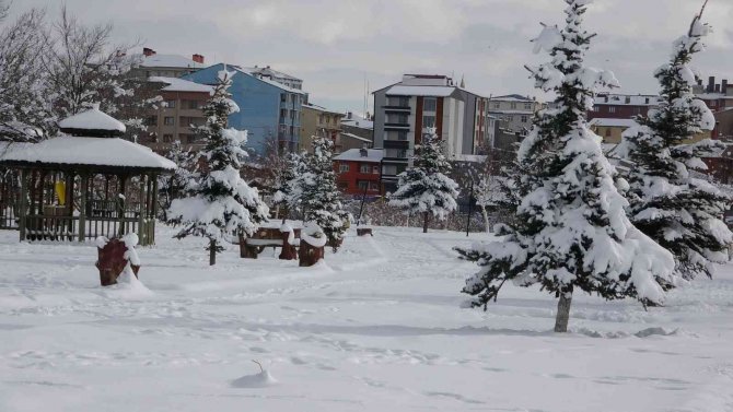 Ardahan’da Beyaz Güzellik
