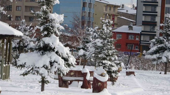 Ardahan’da Beyaz Güzellik