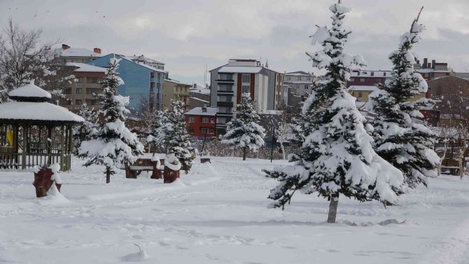 Ardahan’da Beyaz Güzellik