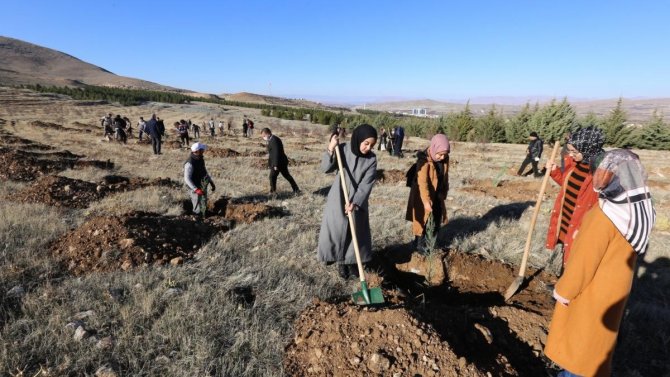 Gençler Yeşillendirmeye Destek